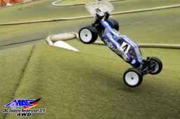 2015 DM 4WD Buggy 4WD Juni